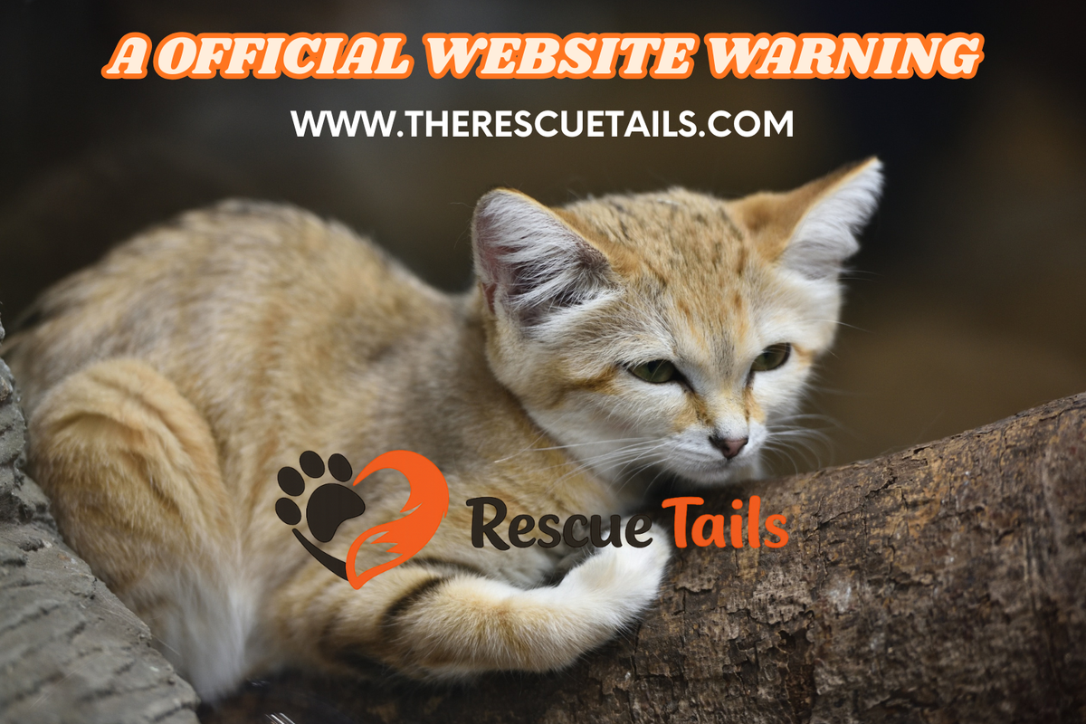 How to Spot Fake Feedogostore Websites Feedogostore