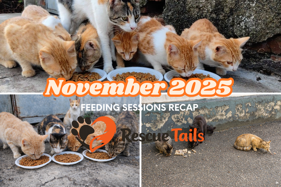 November 2025: A Month We'll Never Forget